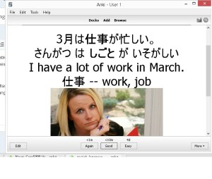 This is what anki looks like.